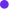 CEO